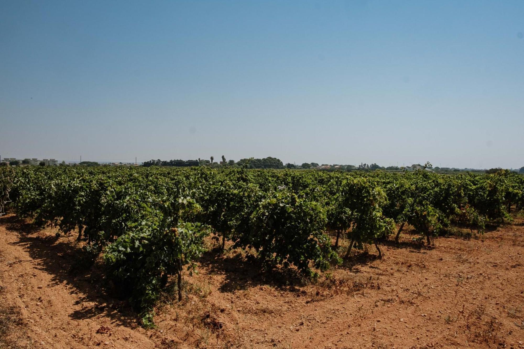 Вилла Podere Fossarunza Di Carlo Manzo Марсала Экстерьер фото